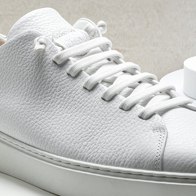 WHITE ELASTIC LACES